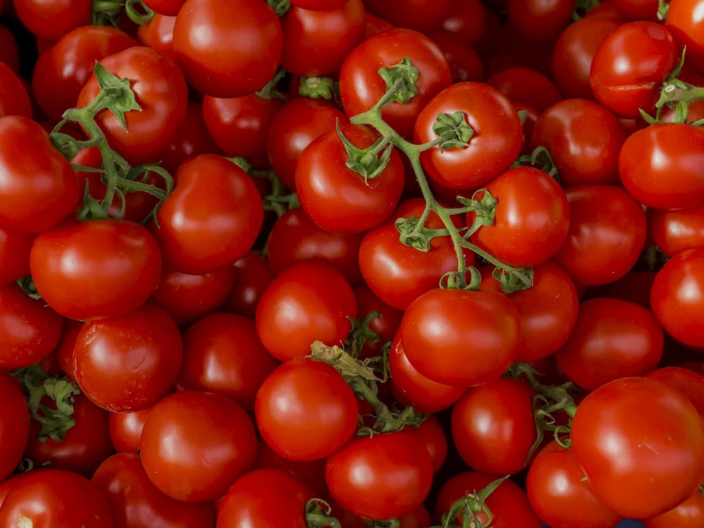 Tomaten, Salate und vieles mehr aus dem Saarland